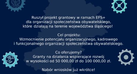 Zaproszenie do&nbsp;współpracy przy realizacji projektu grantowego  „Śląskie. Dla rozwoju wspólNeGO”